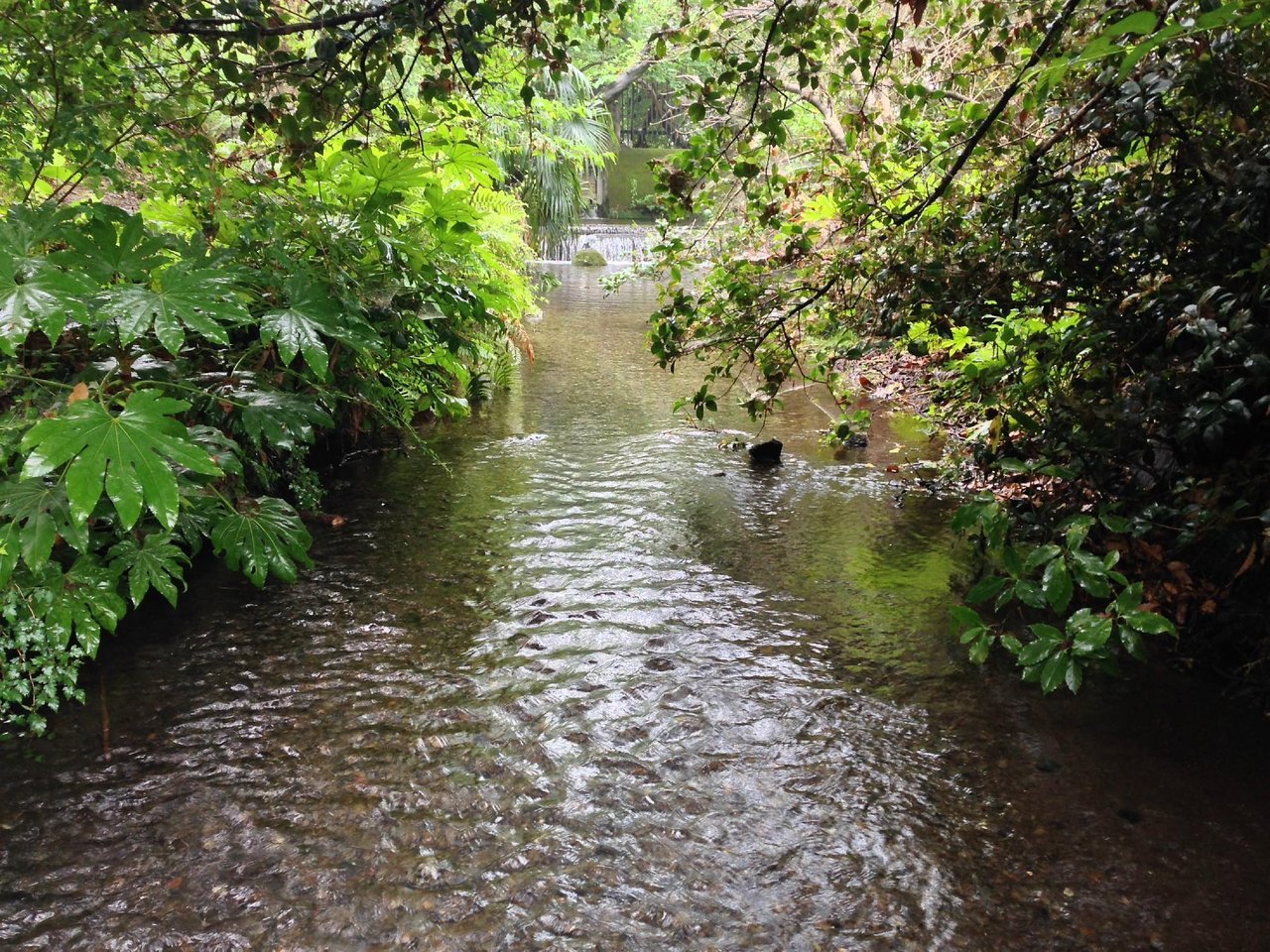 🏞️ 오치아이 강 휴식의 물가(오치아이가와 이코이노 미즈베) 이미지 6